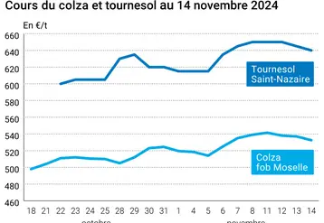 Graphique cours oléagineux françaises au 14 novembre 2024