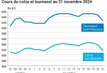 Graphique cours oléagineux françaises au 21 novembre 2024
