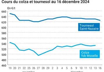 Graphique cours oléagineux français au 16 décembre 2024