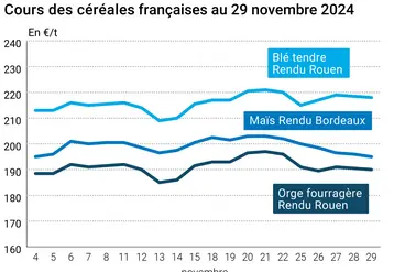 Graphique cours céréales françaises au 29 novembre 2024