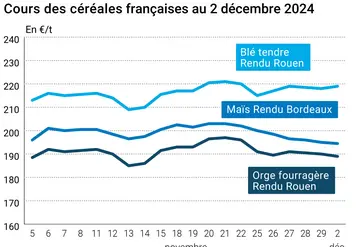 Graphique cours céréales françaises au 2 décembre 2024