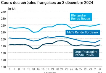 Graphique cours céréales France au 3 décembre 2024