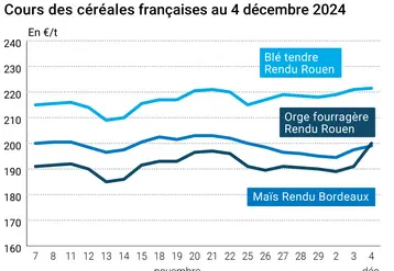 Graphique cours céréales France au 4 décembre 2024