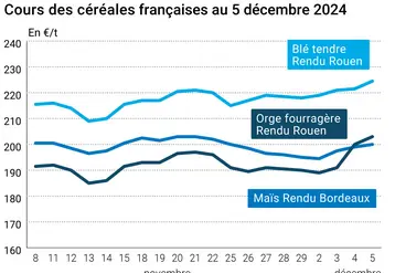 Graphique cours céréales France au 5 décembre 2024