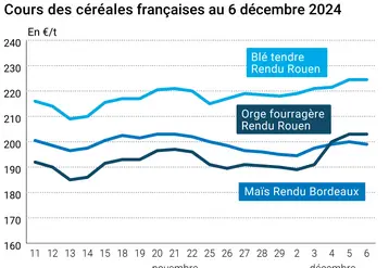 Graphique cours Céréales France au 6 décembre 2024