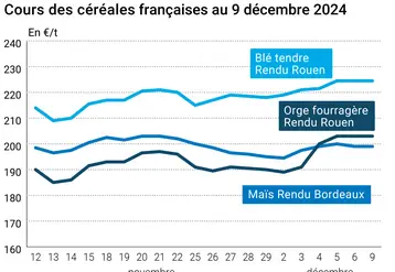 Graphique cours céréales France 9 décembre 2024
