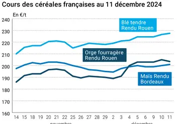 Graphique cours céréales France 11 décembre 2024