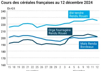 Graphique cours céréales France 12 décembre 2024