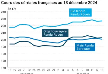 Graphique cours céréales françaises au 13 décembre 2024