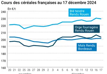 Graphique cours céréales France au 17 décembre 2024