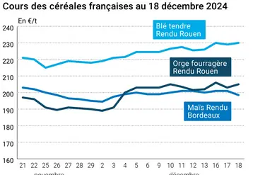 Graphique cours céréales françaises au 18 décembre 2024