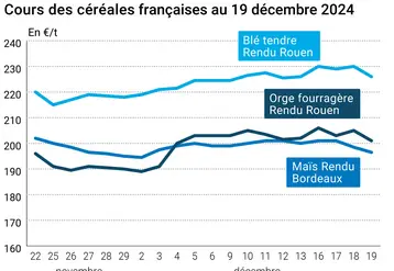 Graphique cours céréales France au 19 décembre 2024