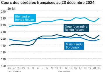 Graphique cours céréales françaises au 23 décembre 2024