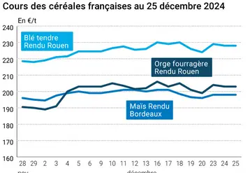 Graphique cours céréales françaises au 25 décembre 2024