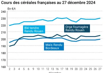 prix du blé tendre rendu Rouen, de l'orge fourragère rendu Rouen et du maïs rendu Bordeaux en juillet août 2024