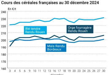 Graphique cours oléagineux France au 30 décembre 2024