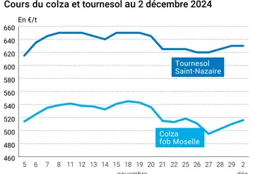 Graphique cours oléagineux français au 2 décembre 2024