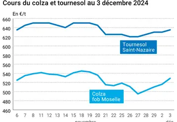 Graphique cours oléagineux France au 3 décembre 2024