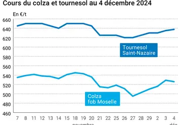 Graphique cours oléagineux France au 4 décembre 2024