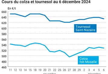 Graphique cours oléagineux France au 6 décembre 2024