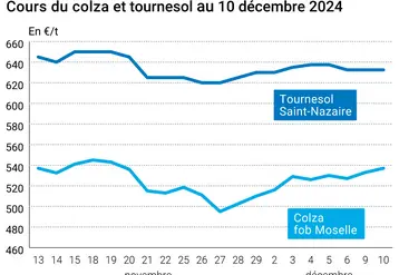 Graphique cours oléagineux France 10 décembre 2024