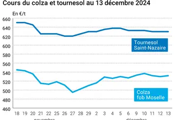 Graphique cours oléagineux français au 13 décembre 2024