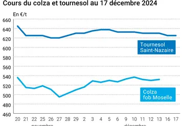 Graphique cours oléagineux France au 17 décembre 2024