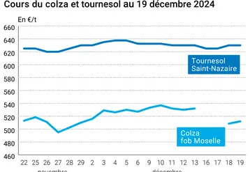 Graphique cours oléagineux France au 19 décembre 2024