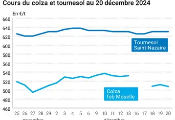 Graphique cours oléagineux français au 20 décembre 2024