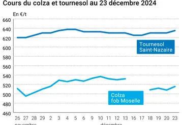 Graphique cours oléagineux français au 23 décembre 2024