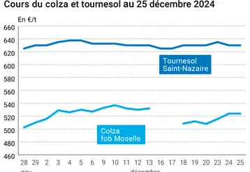 Graphique cours oléagineux français au 25 décembre 2024