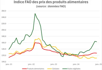 Indices FAO des prix des produits alimentaires depuis 2021