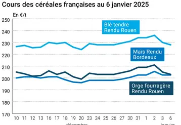 Graphique cours céréales françaises au 6 janvier 2025