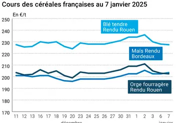 Graphique cours céréales françaises au 7 janvier 2025