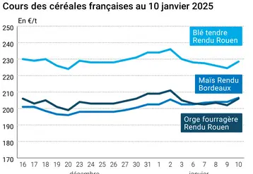 Graphique cours céréales françaises au 10 janvier 2025