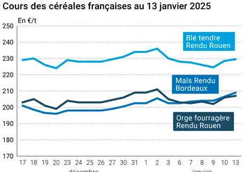 Graphique cours céréales françaises au 13 janvier 2025