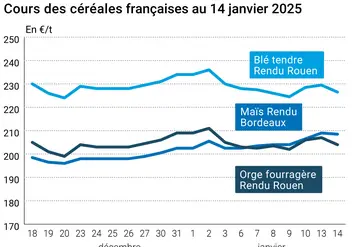 Graphique cours céréales françaises au 14 janvier 2025