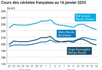 Graphique prix blé orge maïs France du 16 janvier 2025