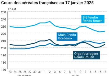 Graphique prix blé maïs orge France au 17 janvier 2025 