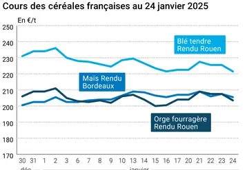 Graphique prix céréales France au 24 janvier 2025