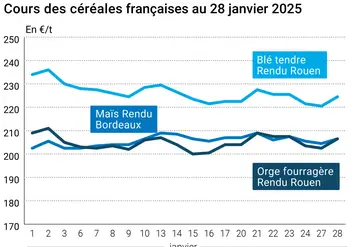 Graphique prix blé orge maïs France au 28 janvier 2025