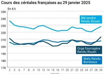 Graphique prix blé orge maïs France du 29 janvier 2025