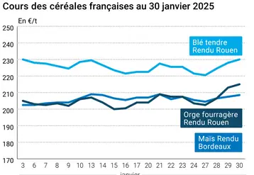 Graphique prix blé orge maïs France du 30 janvier 2025