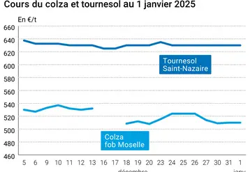 Graphique cours oléagineux France au 1er janvier 2025