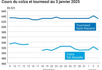 Graphique cours oléagineux français au 3 janvier 2025