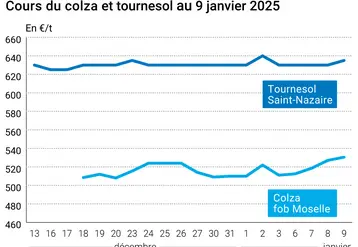 Graphique cours oléagineux français au 9 janvier 2025