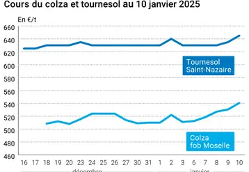 Graphique cours oléagineux français au 10 janvier 2025