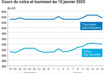 Graphique prix colza tournesol France du 15 janvier 2025