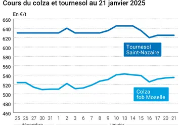 Prix du colza rendu Rouen et du tournesol rendu Saint Nazaire