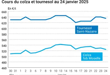 Graphique prix oléagineux France au 24 janvier 2025